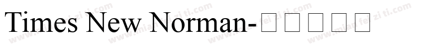 Times New Norman字体转换